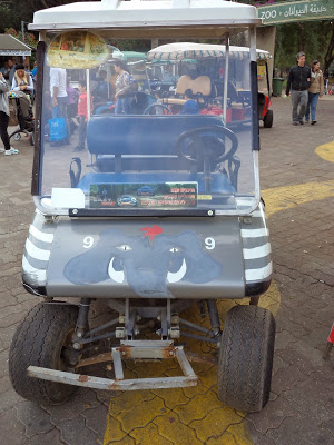 Activities in Tel Aviv: Ramat Gan Safari