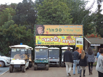 Activities in Tel Aviv: Ramat Gan Safari