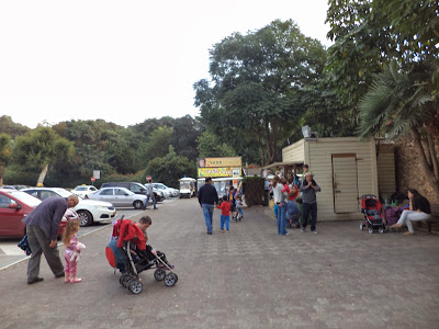 Activities in Tel Aviv: Ramat Gan Safari